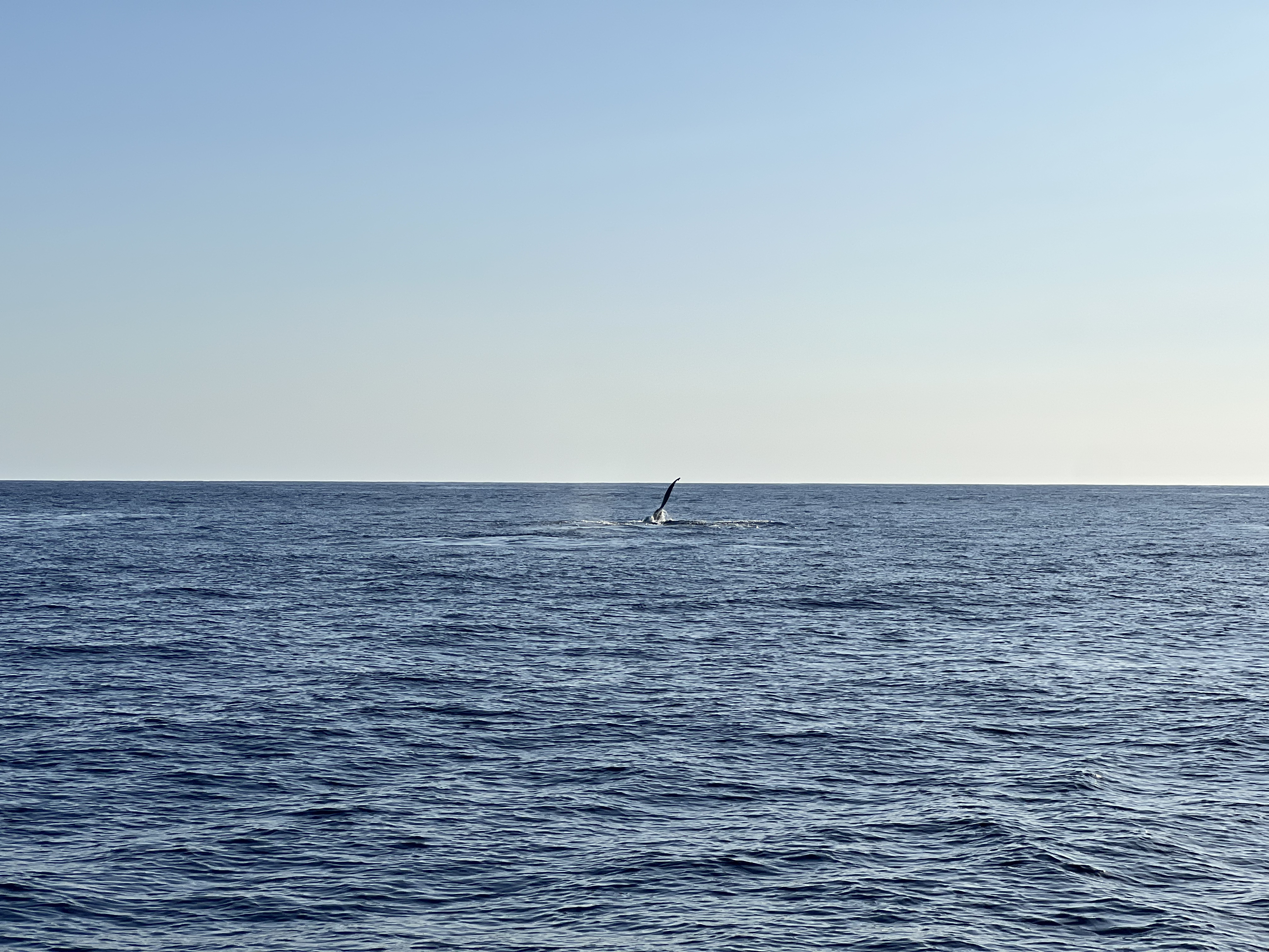 ./2024/13 - Cabo/IMG_4672.jpg